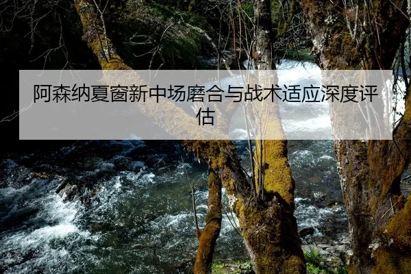 阿森纳夏窗新中场磨合与战术适应深度评估